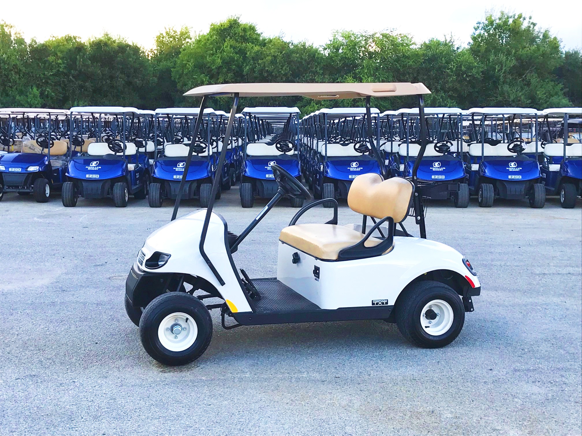 Rentals Mission Golf Cars San Antonio Texas